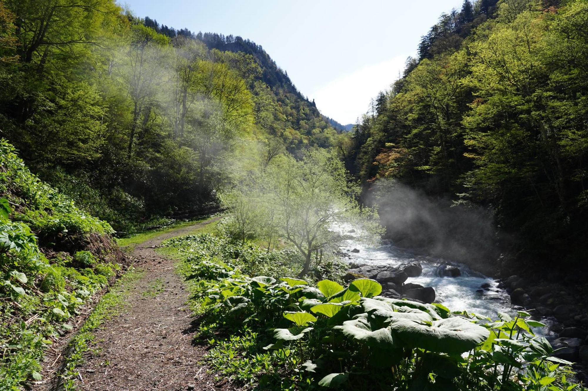 Отель Shikishimaso Higashikawa Экстерьер фото
