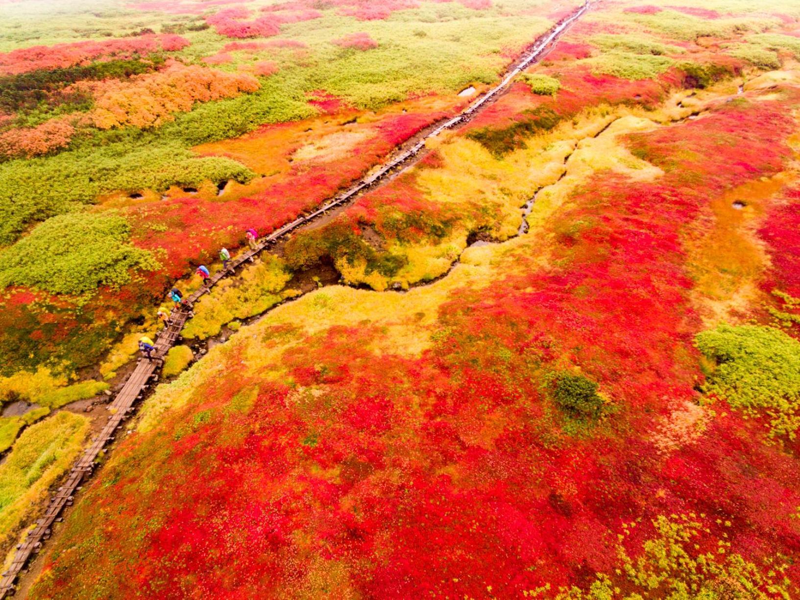 Отель Shikishimaso Higashikawa Экстерьер фото